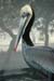 brpe_g23_side